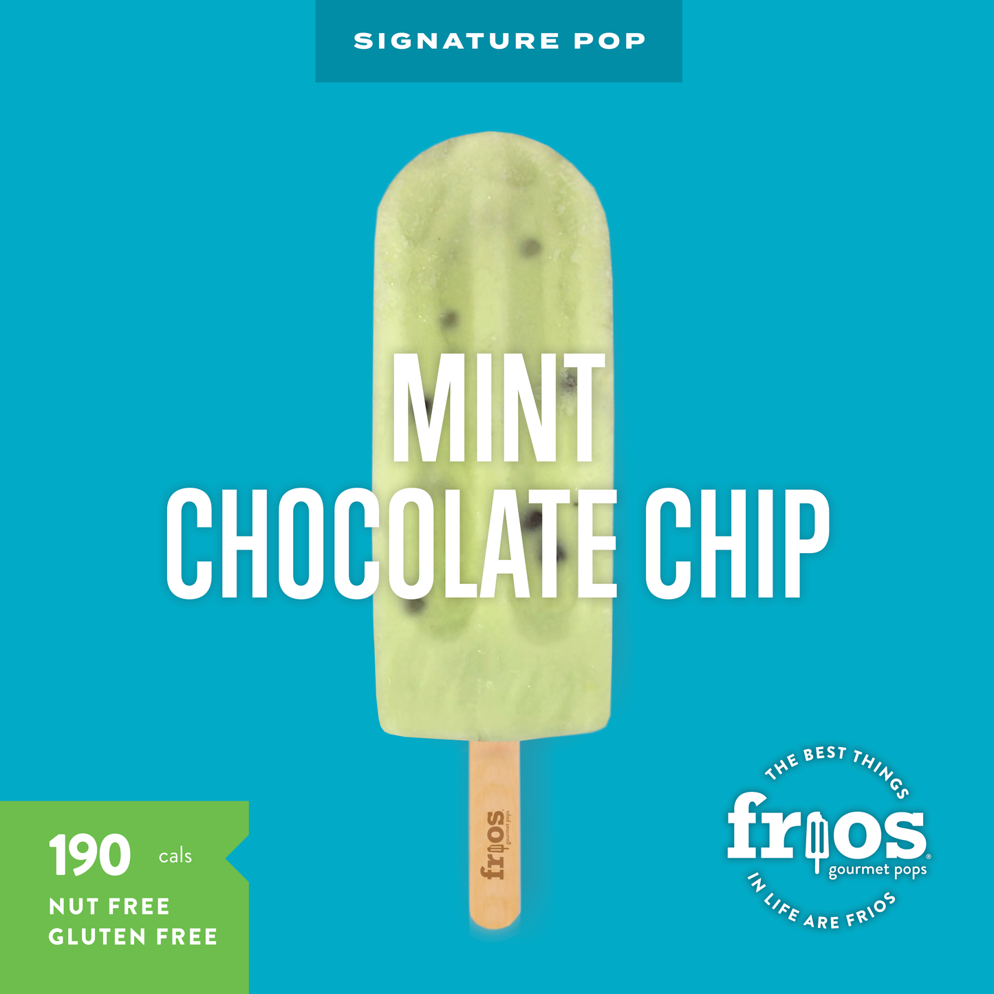 Mint Chocolate Chip