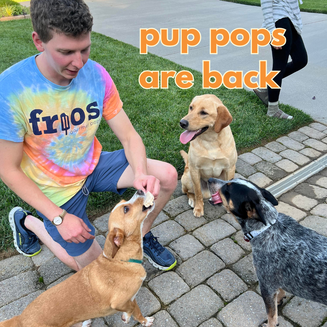 Pup Pop